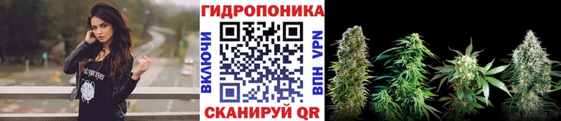 Конопля планчик  Саратов 